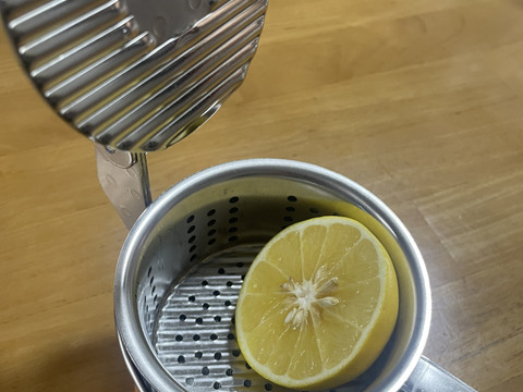 国産グレープフルーツ（Sサイズ150ｇ～200ｇ）箱込み4.8キロ以上＊小ぶりな為、生絞りジュースでお召し上がり上がりください。