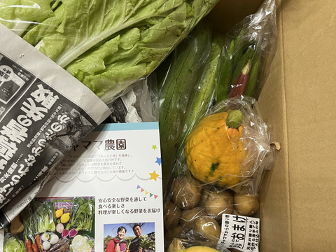 まちゃ様 野菜セット果物追加 BF059 【12回定期便】旬の野菜・フルーツ (12〜14品目)・卵 (6個