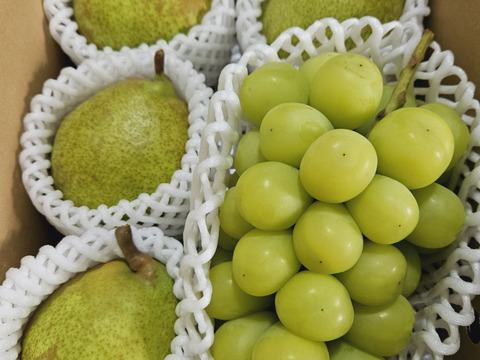 完熟シャインマスカット&ラ・フランスセット(小)★クール便★