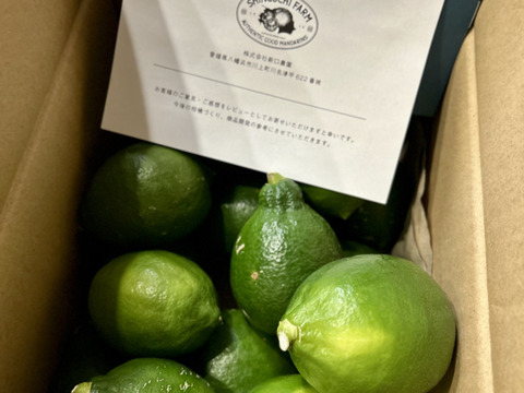 【皮が薄くて種がない】レモン 2kg【防腐剤・ワックス不使用】璃の香（家庭用) 国産レモン