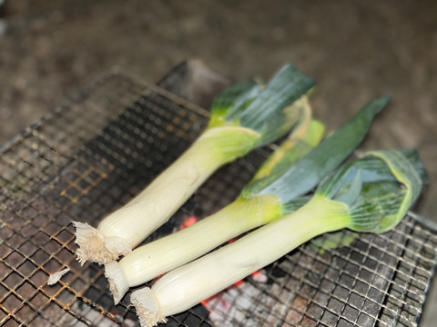 生粋の下仁田ネギ(Lサイズ以上10-12本)