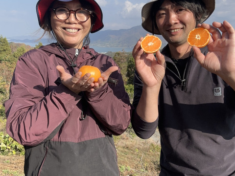 愛媛県大三島産みかん🍊【農薬不使用】5キロ