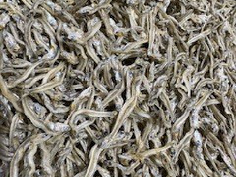 いつもより乾燥し、塩分控えめ ちりめん　お徳用　１ｋｇ　かえりより小さいちりめんより大きい