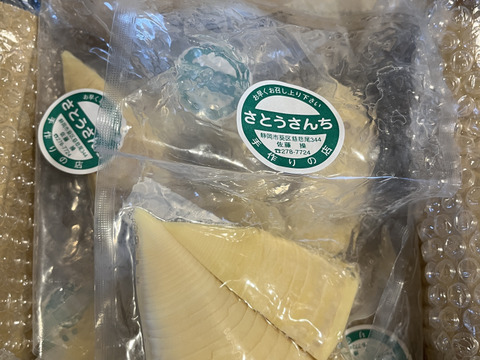新鮮即茹で！静岡産やわらか筍水煮 (使いやすい150ｇの5個セット)
