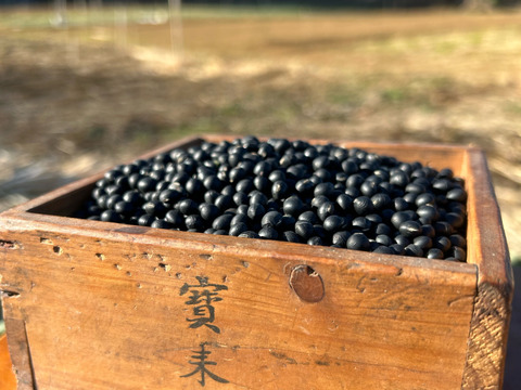 【自然栽培】丹沢山麓の幻の黒千石大豆1.5kg　農薬不使用・肥料不使用 メール便発送