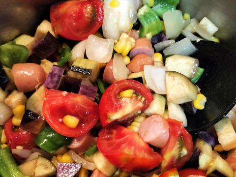 数量限定✨夏野菜9袋★フードレスキュー　農園自慢の野菜セット4種〜★パチャママ農園