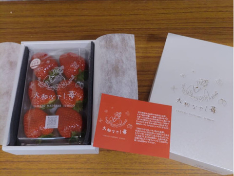 🏆いちごグランプリ　🏆いちご選手権受賞　大和なでし苺　古都華　6粒入り　特大　いちご　300g 奈良県　橋本農園　イチゴ 化粧箱　贈答用にも