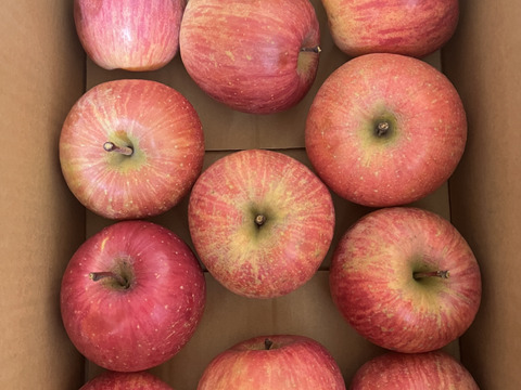 12月より発送【ご家庭用訳あり！】樹上完熟！！サンふじ(5kg)