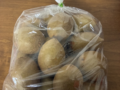 ゴールドキウイふる～つ　規格外Mサイズ２K箱【品種・東京ゴールド】）