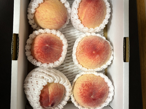 【家庭用】温室桃「日川白鳳」計900g(5〜8個入り)