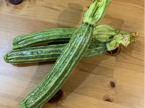 【ステラ２】ジューシーでやわらかな星型のズッキーニ（8本入り）