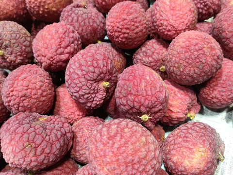 厳選　国産生ライチ　350ｇ×2パック