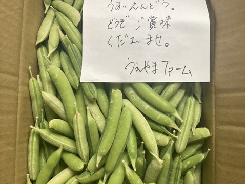 今が旬♪ホクホク食感♪和歌山特産　うすいえんどう⭐Lサイズ　2キロ