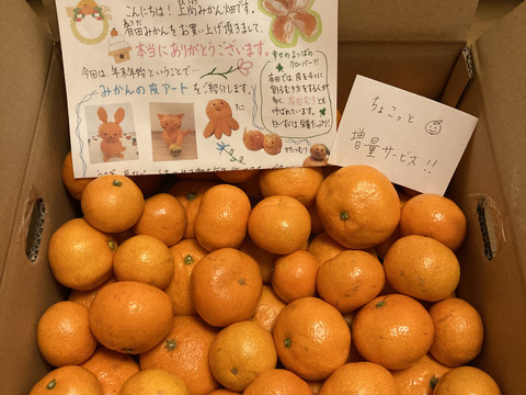 有田みかん【サイズ混合】5 kg（箱込）