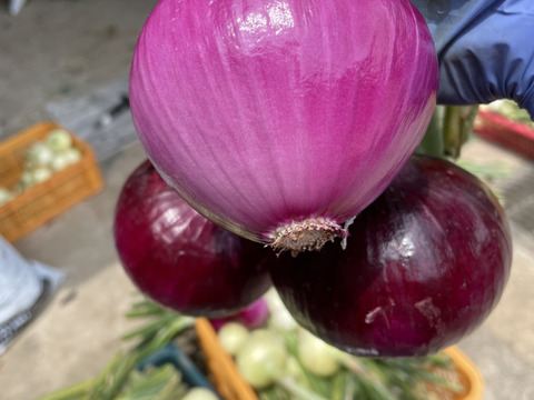 サラダに最高！赤玉ねぎ【農薬不使用  赤玉ねぎ】2kg 兵庫県丹波産 米農家のこだわり有機肥料使用！化学肥料不使用 大きさいろいろ◎発送時間指定可◎薄皮がパラパラ落ちない！