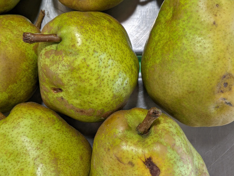 ラ・フランス規格外