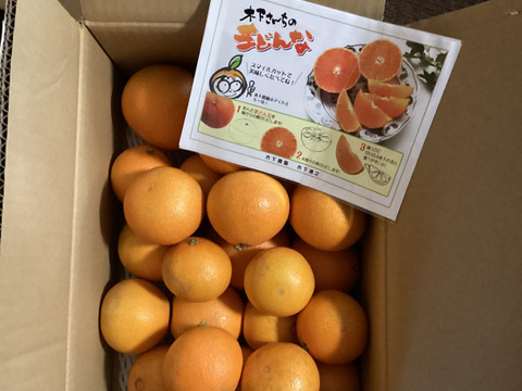 【予約セール】☆農園1番人気☆まどんな『家庭用5キロ』