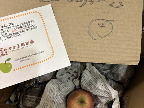 小玉です。10キロ箱加工用です。ジャムやジュースに😋色薄い加工用でも甘いです