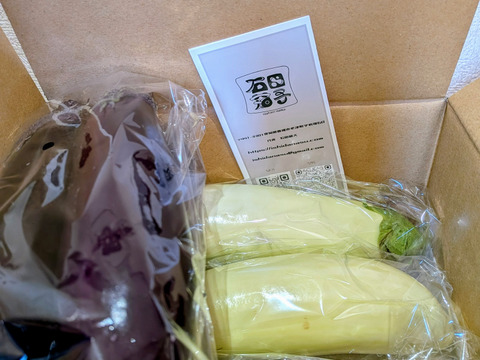 石田茄子 白茄子 食べ比べセット