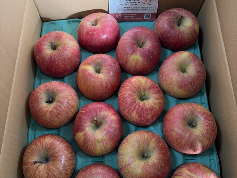 【栄養満点】 葉とらずふじ　5㎏　13～20玉　青森りんご　農家直送