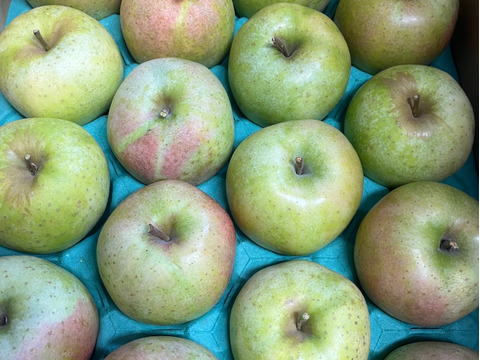 10月下旬～11月上旬 家庭用王林 3キロ箱7～11玉