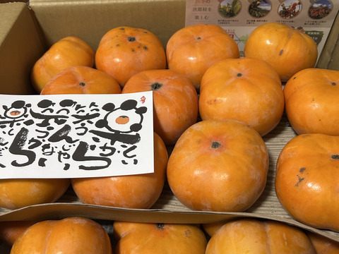 【冬に食べる】幻の柿 次郎柿！ワケありお徳用（小キズあり）みんなでシェア24～32個7.5kg