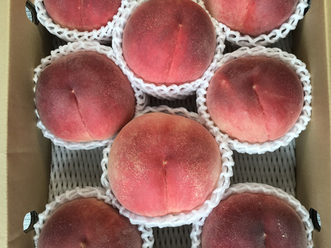 山梨県産かための”甘〜い桃” 約３kg（８～11玉）【冷蔵便】贈答　ギフト　ご家庭にも