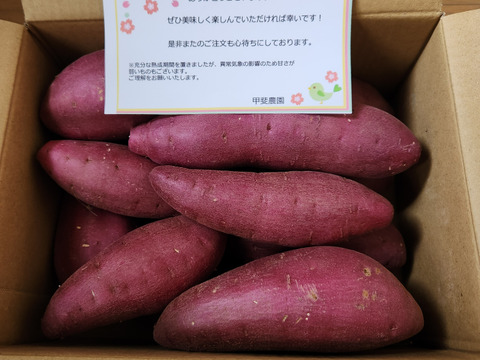 ねっとり極甘さつまいも！熟成紅はるか約2.5kg（s~2Lサイズ不揃い詰め合わせ）