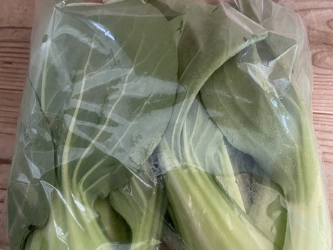 【福袋】玉ねぎ6kg🧅とその他葉物野菜など5種類以の上野菜セット