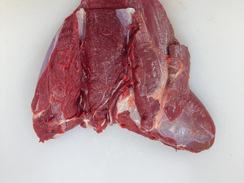 煮込めに最適！濃厚な味わい！鹿肉カタ600g　【ジビエ】熨斗対応可