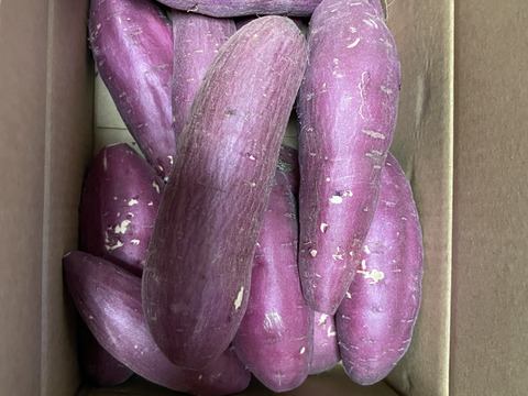 ねっとり極甘さつまいも！熟成紅はるか約2.5kg（s~2Lサイズ不揃い詰め合わせ）