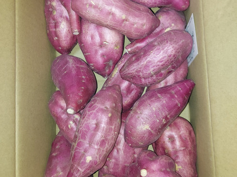 ほくほく食感と上品な甘さ！なると金時(訳あり)5kg