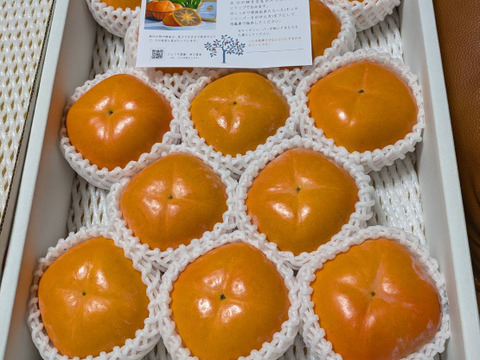 黒ゴマ果肉の紀の川柿【大箱・秀品】和歌山、天空の村