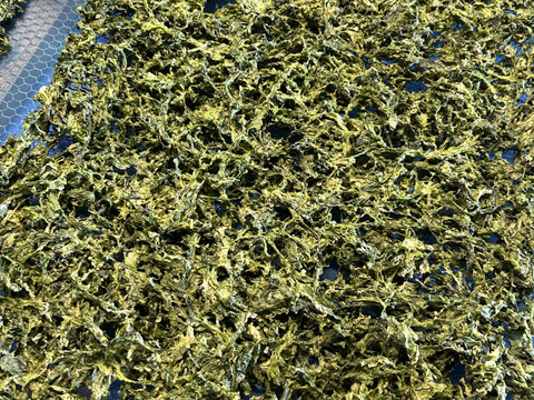 五島列島産 乾燥あおさ チャック付き!! 40g×1袋