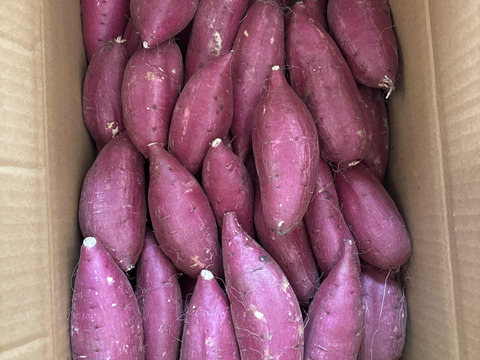 【新芋】シルクスイート　Sサイズ　5kg さつまいも