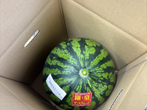 朝採り 羅皇ザ・スウィート すいか【家庭用・訳あり】福岡県朝倉産 ※糖度約11.5度以上の希少品