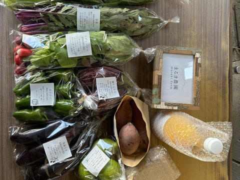 【箱いっぱいにお届け！】農薬不使用キラピカ旬野菜BOX11〜12品、朝穫れ農の島＊大三島＊よりお届け！