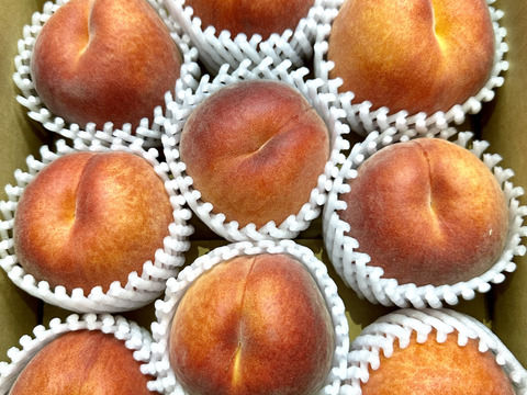 パリパリ食感のワッサー（北信濃産） 桃🍑とネクタリンの良いとこどり