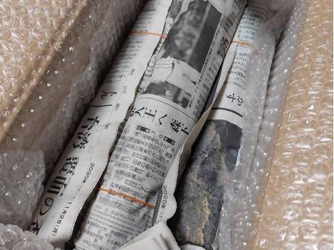 感謝商品✨健康なアスパラガス（1.5kg）のお得な大容量です！