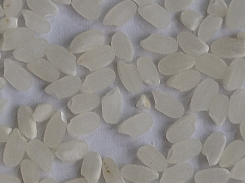 【令和７年産　新米】動物由来肥料不使用、化学肥料半減、米粒成長期の農薬ゼロ、だから、米粒は小さめですが、味は凝縮　令和7年新米です　ひとめぼれ4.5kg　標準精米でお届けします