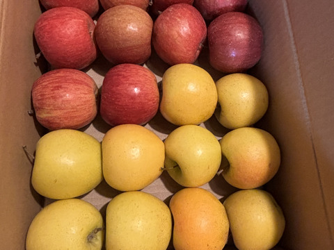 ★残りわずか★【極小玉・バラ詰め】毎日りんご!! サンふじ＆シナノゴールド🍎💛家庭用 約3Kg🍎💛ハーフセット　食べ比べ　コスパ抜群　青森県産　数量限定　ポケットりんご
