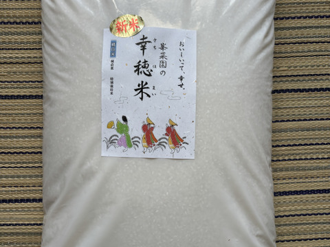 新米‼︎福岡県の美味しいお米！！10キロ