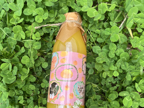 【ギフト対応できます】農薬使用せず育てた甘夏ストレートジュース500g2本