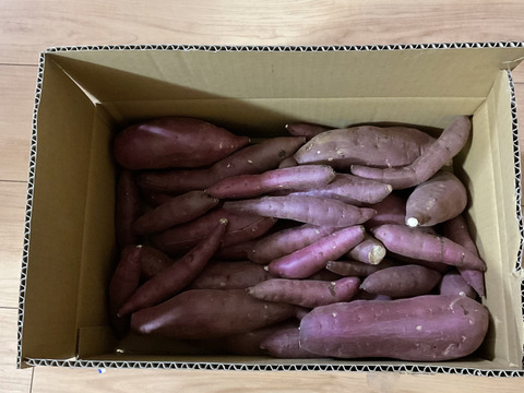 超お得！食品ロス削減応援・訳あり紅はるか6キロ以上！目一杯詰めます。甘みも乗ってきました！