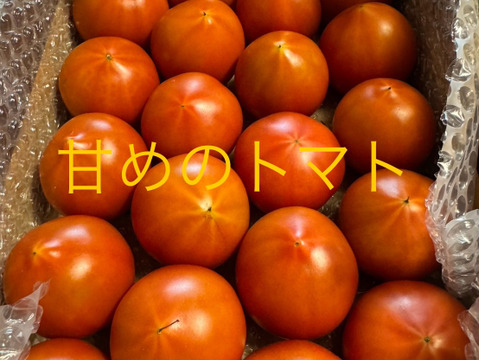 少し甘いトマト🍅80サイズ箱詰め