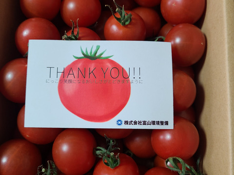 濃厚な旨味！酸味・甘味のバランス抜群！最高峰のミニトマト『フォレストフルティカ』1kg×1箱