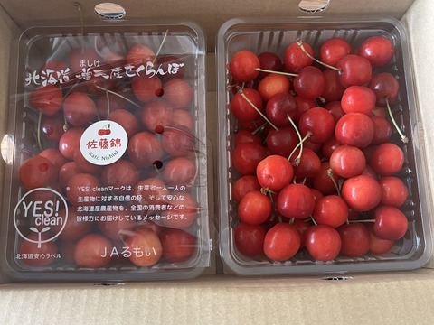 北海道産さくらんぼ【佐藤錦】1kg