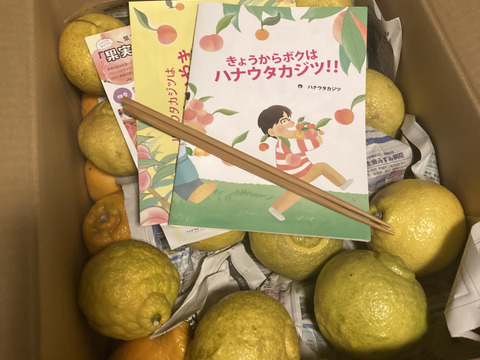 【お買い🉐】はるみみかん4.6kg+はるか2.3kg少々キズあり大小まざり