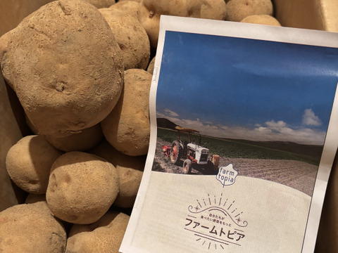 【訳あり】北海道産キタアカリ10キロ