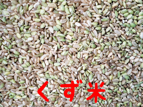 令和7年産 高知県産 新米コシヒカリ(飼料用くず米) 玄米25㎏(袋込み)